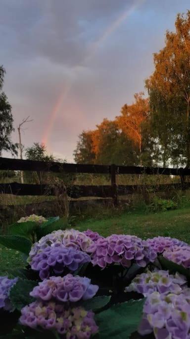 Poggenhagen Urlaub Mitten In Der Natur Нойштадт-ам-Рюбенберге Экстерьер фото