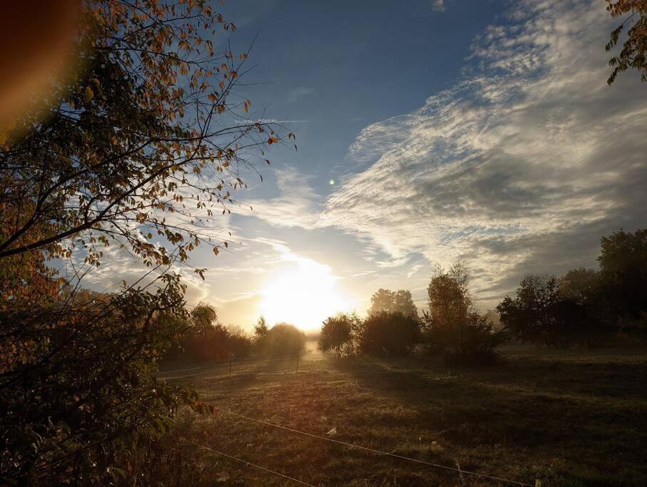 Poggenhagen Urlaub Mitten In Der Natur Нойштадт-ам-Рюбенберге Экстерьер фото